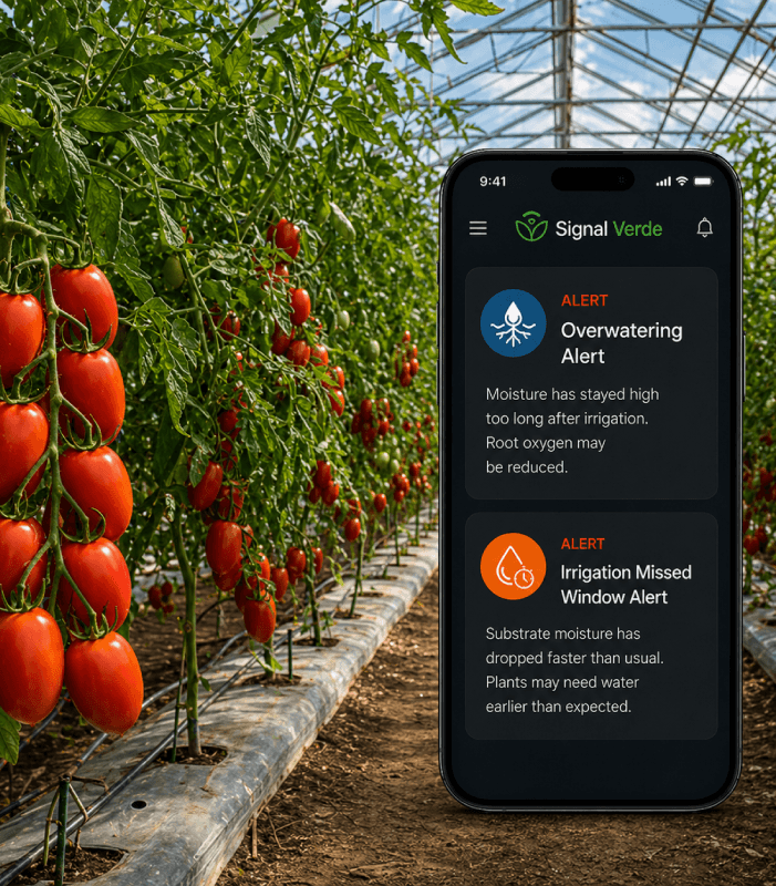 SignalVerde app alert screen in a greenhouse